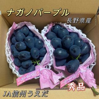 ナガノパープル　2房　秀品　長野県産　ぶどう(フルーツ)