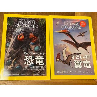 ニッケイビーピー(日経BP)のナショナル ジオグラフィック 日本版(専門誌)