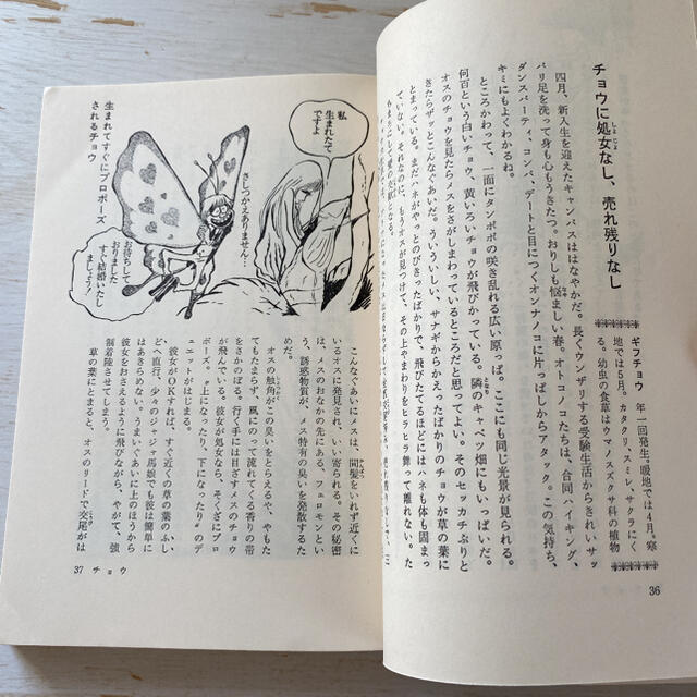 昆虫おもしろブック 21世紀ブックス 矢島稔 松本零士 昆虫おもしろブック 21世紀ブックス 矢島稔 松本零士