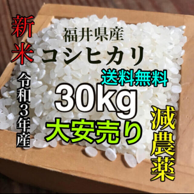 福井県産　令和3年度　コシヒカリ30kg 玄米