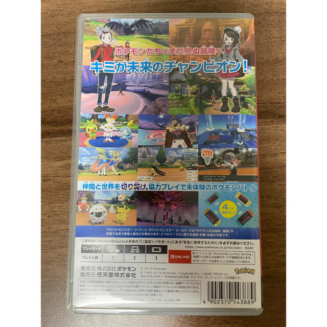 ポケットモンスター ソード Switch 1