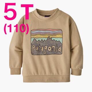 パタゴニア(patagonia)の110サイズ【新品】Patagonia ベビー ライトウェイト スウェット(Tシャツ/カットソー)