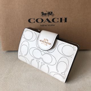 COACH 折り財布 新品 チョーク 最新作 ペブルレザー レディース 限定品