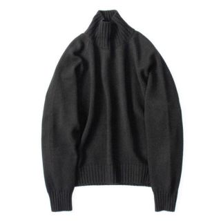 サンシー(SUNSEA)のstein EX Fine Lambs High Neck Knit LS (ニット/セーター)