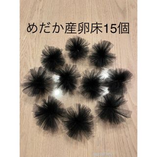 《めだか産卵床15個（チュール生地黒）の商品》(アクアリウム)