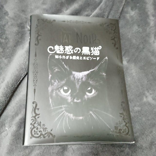 魅惑の黒猫 知られざる歴史とエピソ－ド エンタメ/ホビーの本(住まい/暮らし/子育て)の商品写真