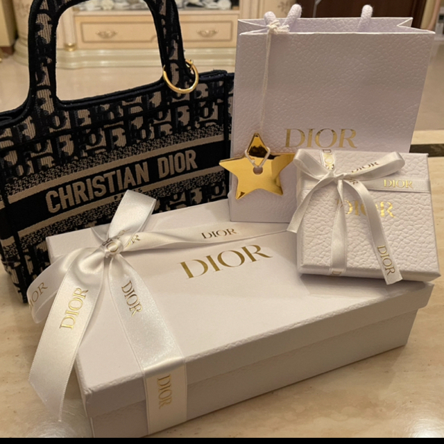 Christian Dior(クリスチャンディオール)の★ kaep→様　専用★DIORTRAVEL スモールヴァニティ レディースのファッション小物(ポーチ)の商品写真