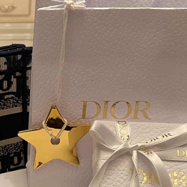 Christian Dior(クリスチャンディオール)の★ kaep→様　専用★DIORTRAVEL スモールヴァニティ レディースのファッション小物(ポーチ)の商品写真