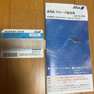 エーエヌエー(ゼンニッポンクウユ)(ANA(全日本空輸))のANA株主優待券(その他)