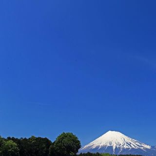 マジョリカマジョルカ(MAJOLICA MAJORCA)のはな様専用(まつ毛美容液)