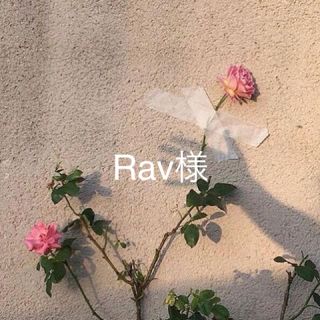 ⭐️Rav様専用⭐️(その他)