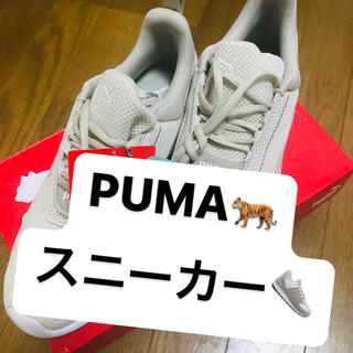 プーマ(PUMA)の★新品未使用★ PUMA プーマ スニーカー コレクション ランニング(スニーカー)
