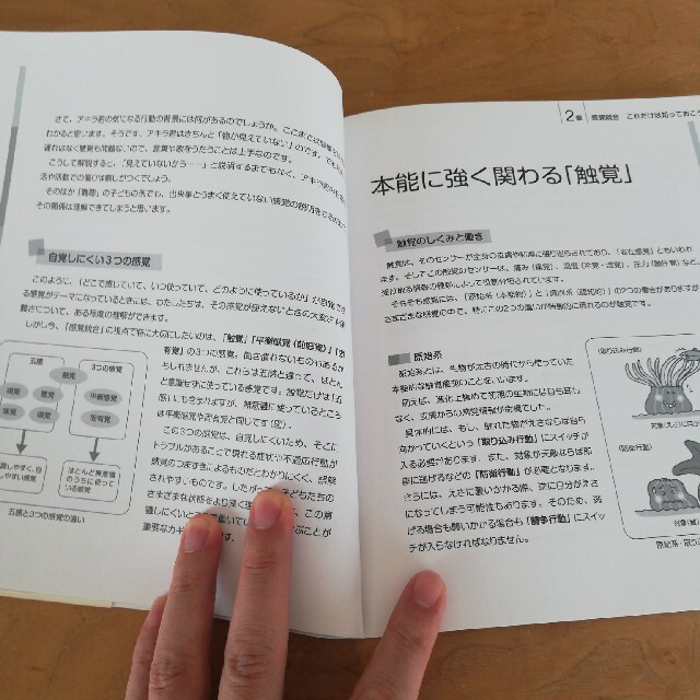 保育者が知っておきたい発達が気になる子の感覚統合 エンタメ/ホビーの本(人文/社会)の商品写真