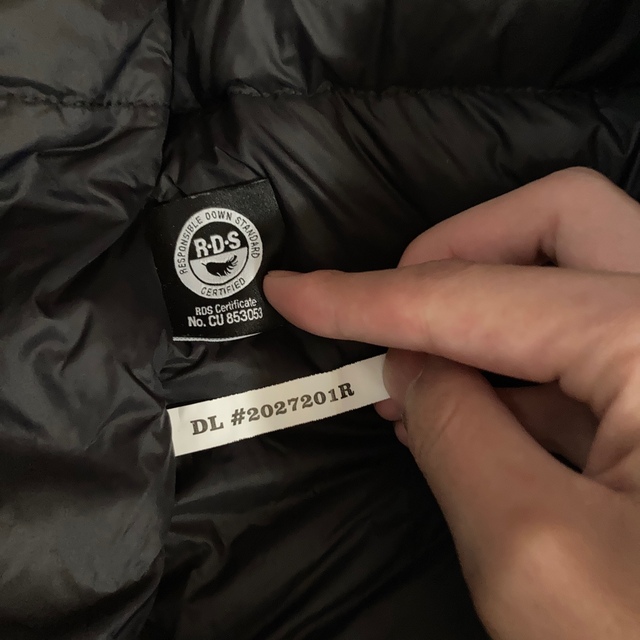 THE NORTH FACE(ザノースフェイス)のACT MOTION DOWN JACKET / THE NORTH FACE メンズのジャケット/アウター(ダウンジャケット)の商品写真