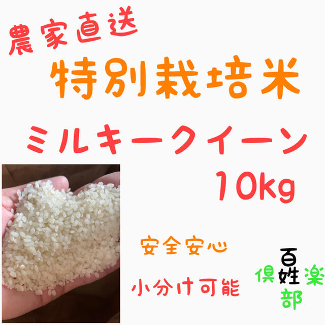 自然栽培 玄米 14kg 2024年産 コシヒカリ 自然栽培 玄米 14kg 2024年産 コシヒカリ