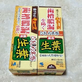 コバヤシセイヤク(小林製薬)の小林製薬  薬用 生葉  100g×2(歯磨き粉)