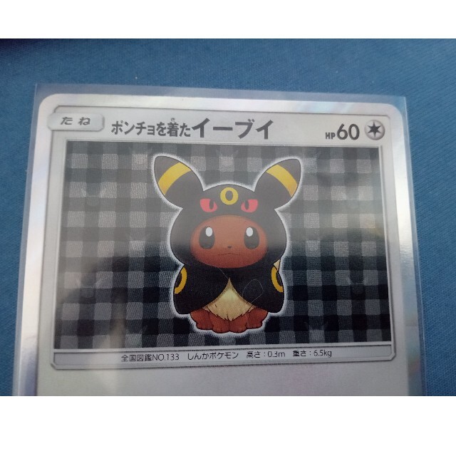 ポンチョを着たイーブイ ブラッキー 1