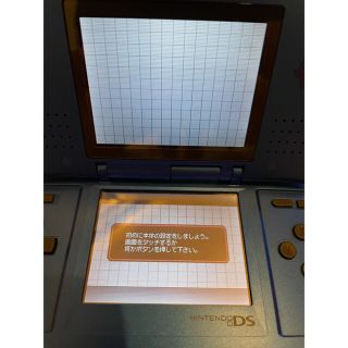 ニンテンドーDS(ニンテンドーDS)のニンテンドーDSポケパークバージョン(携帯用ゲーム機本体)