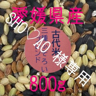 SHO♡AO様専用  古代米3種ふぞろいブレンド　愛媛県産　800ｇ(米/穀物)