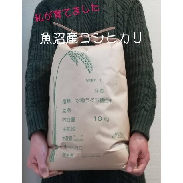 お米10kg×2　令和3年魚沼産コシヒカリ玄米　合計20kg　米/穀物