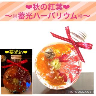 【紅葉】〜❄︎秋の紅葉❄︎〜❤︎水晶＆シトリン＆金箔in蓄光ハーバリウム❤︎(プリザーブドフラワー)