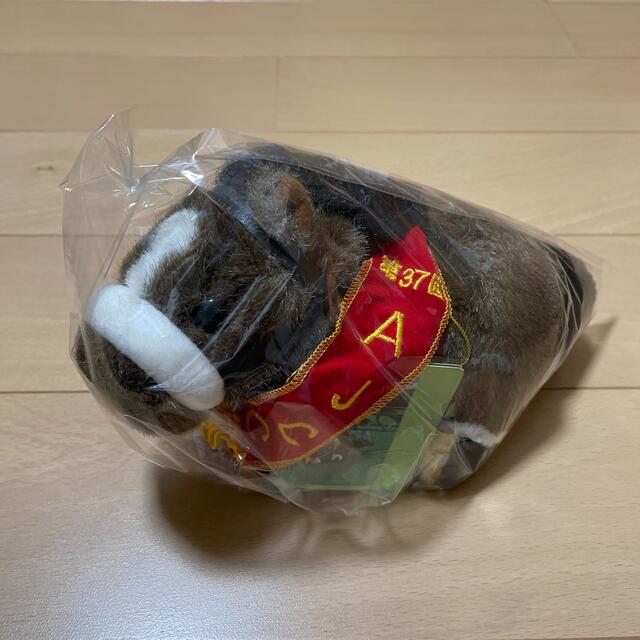 美品　新品同様　カネツクロス　AJCC　アバンティー エンタメ/ホビーのおもちゃ/ぬいぐるみ(ぬいぐるみ)の商品写真