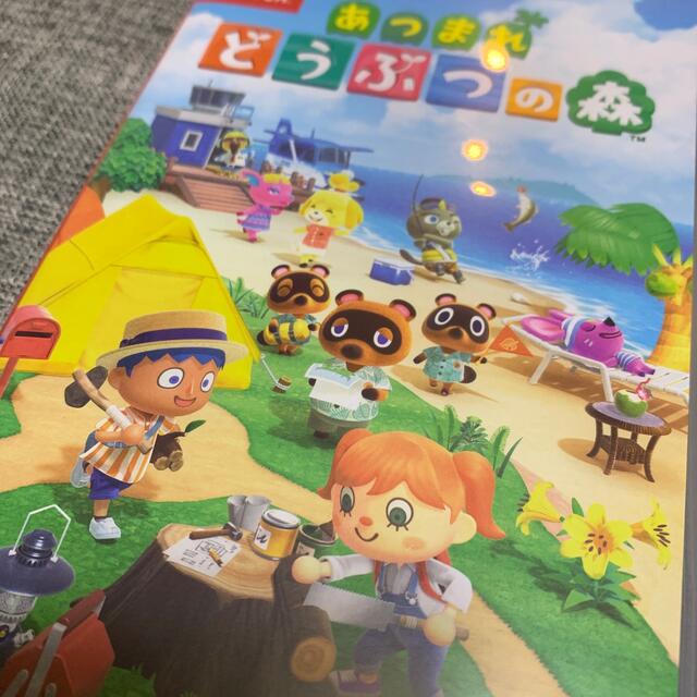 あつまれ どうぶつの森 Switch