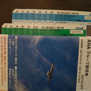 【ふう様専用】ANA株主優待券15枚（搭乗期限2022年5月31日まで）(その他)