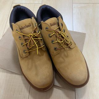 ティンバーランド(Timberland)のtimberland シューズ　スニーカーローカット　値下げ中(スニーカー)