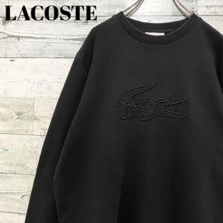 LACOSTE ラコステ スウェットパーカー　サイズ40 刺繍　ワニロゴ