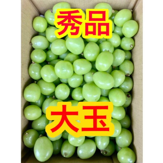 春夏秋冬おさんぽシリーズ E ゲリラ出品シャインマスカット 大玉1キロ ...