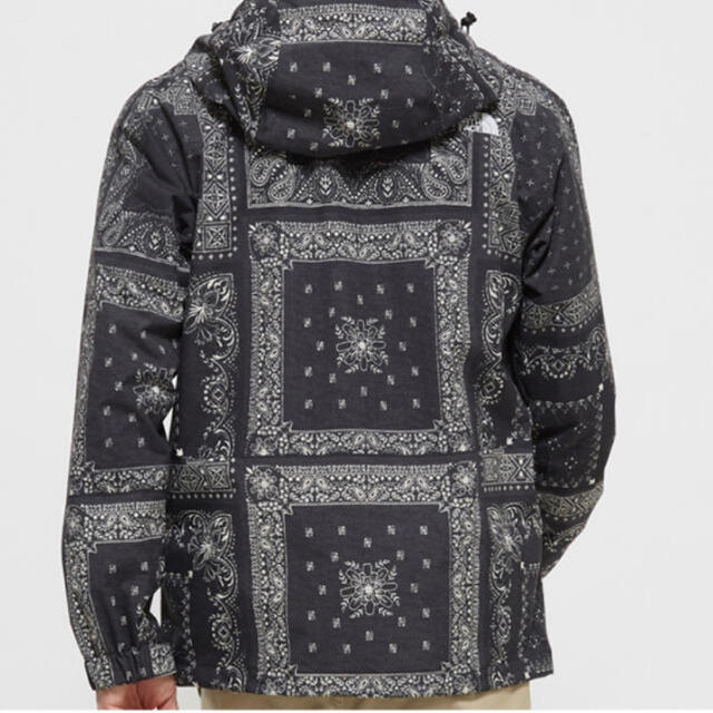 THE North  Face  Novelty Scoop Jacket