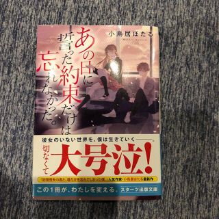 あの日に誓った約束だけは忘れなかった。(文学/小説)