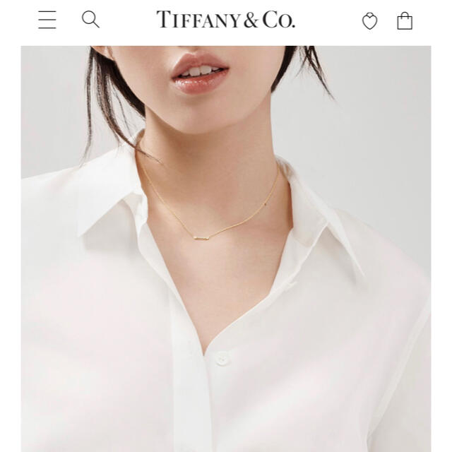 Tiffany & Co.(ティファニー)のTiffany & co. フルール ドリス バーペンダント レディースのアクセサリー(ネックレス)の商品写真