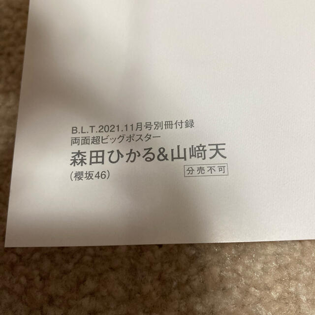 欅坂46(けやき坂46)(ケヤキザカフォーティーシックス)のB.L.T.2021年11月号　ポスター付き エンタメ/ホビーの雑誌(音楽/芸能)の商品写真
