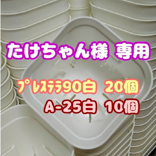 【スリット鉢】プレステラ90白20個 他 多肉植物 プラ鉢 ハンドメイドのフラワー/ガーデン(プランター)の商品写真