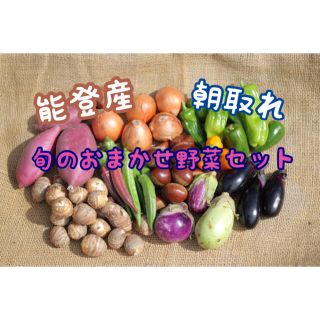 能登産　朝取れ　旬のおまかせ野菜セット(野菜)