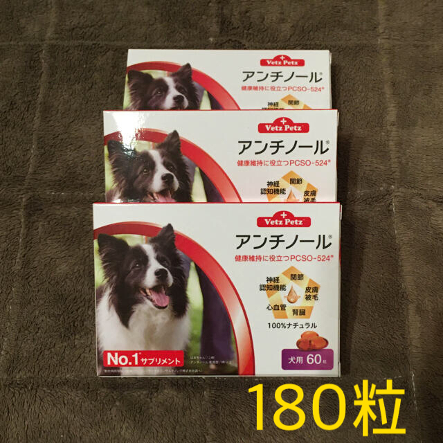 犬用 アンチノール 60粒 3箱