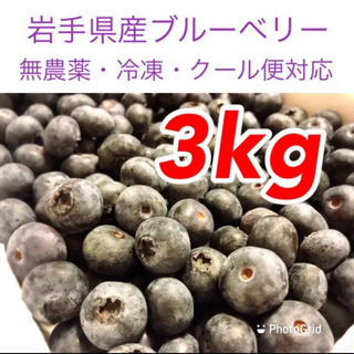 岩手県産ブルーベリー冷凍3kg【無農薬】(フルーツ)