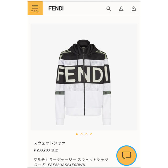 正規代理店 - FENDI フェンディ Ｌ パーカー スウェットシャツ マルチ