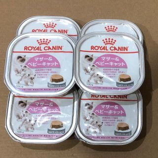 ロイヤルカナン(ROYAL CANIN)のロイヤルカナン ベビー＆マザーキャット6個 妊娠・授乳・子猫用ウェットフード(ペットフード)