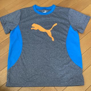 プーマ(PUMA)の美品　PUMA プーマ Tシャツ　150(Tシャツ/カットソー)