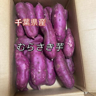むらさき芋　千葉県産　箱含む5kg   さつまいも(野菜)