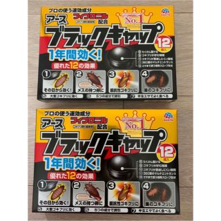 アースセイヤク(アース製薬)のブラックキャップ ゴキブリ駆除剤　12コ入　2箱セット(日用品/生活雑貨)