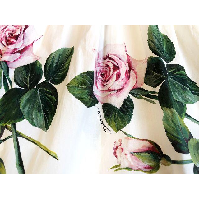 DOLCE&GABBANA　極美品　Tropical Rose　ワンピース レディースのワンピース(ひざ丈ワンピース)の商品写真