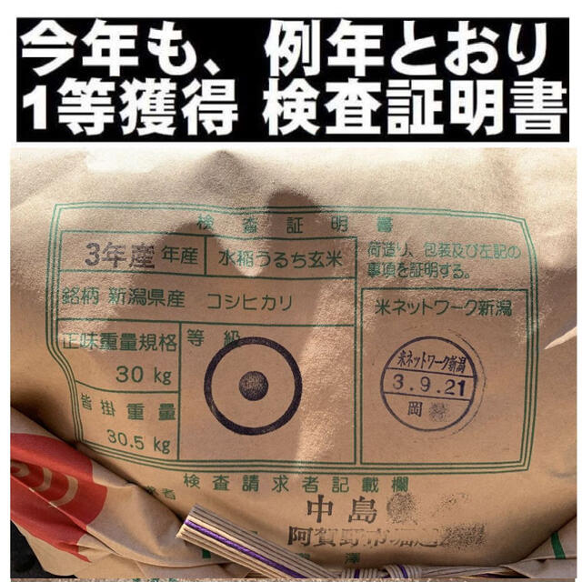 本日から７日迄限定　新米・令和3年産玄米新潟コシヒカリ10kg×3精米無料②　米/穀物