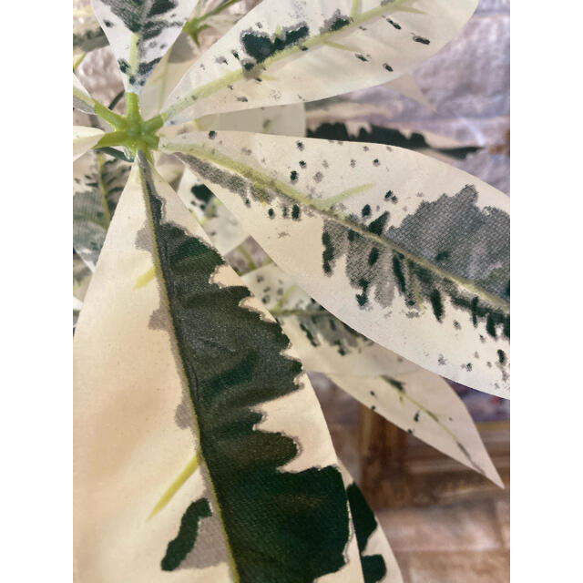 光触媒　人工観葉植物　ウォールグリーン　造花　アレンジ　斑入りパキラ60