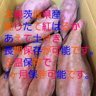 サツマイモ 紅はるかMLサイズ茨城産5キロ掘りたて減農薬土付最高級特A品質(野菜)