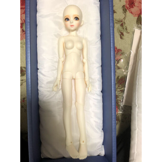 専用です。 luts doll msd 女の子 限定品 球体関節人形 | www.jarussi