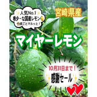 【期間限定❣️感謝セール】マイヤーレモン1㎏（送料込み）/レモン　国産レモン(フルーツ)